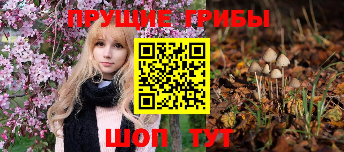 Псилоцибиновые грибы Psilocybine cubensis Ростов Великий