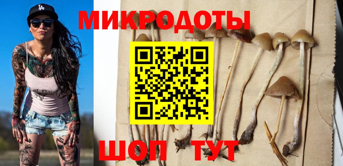 Ростов Великий  Галлюциногенные грибы мицелий  Галлюциногенные грибы Cubensis  Вход с VPN 